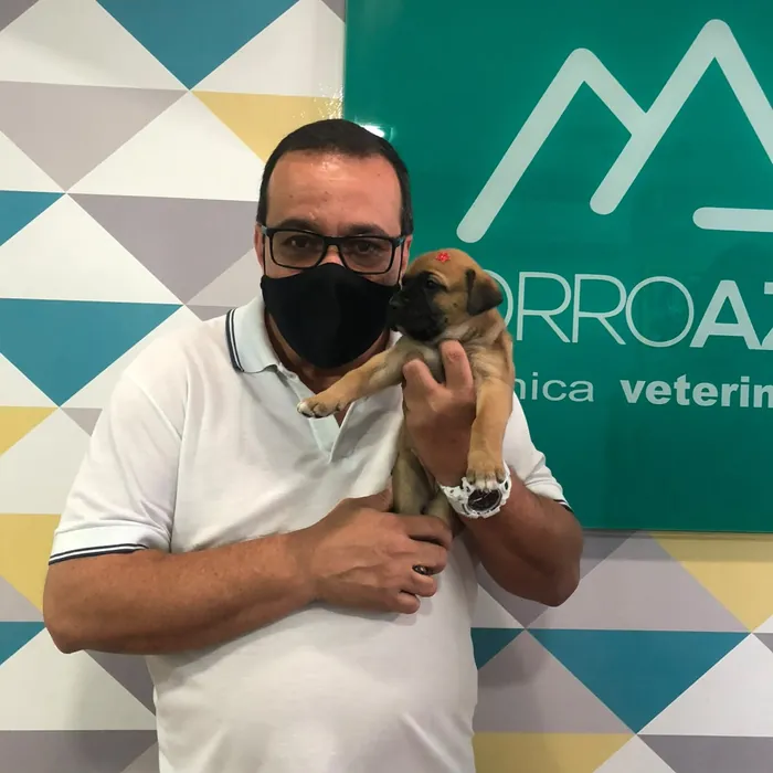 Atendimento carinhoso de um pet na clínica